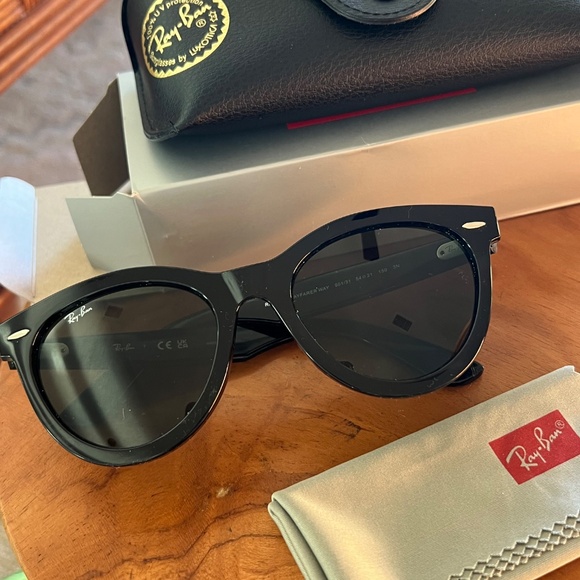 Ray-Ban Wayfarer Way Sunglasses - Picture 4 of 8